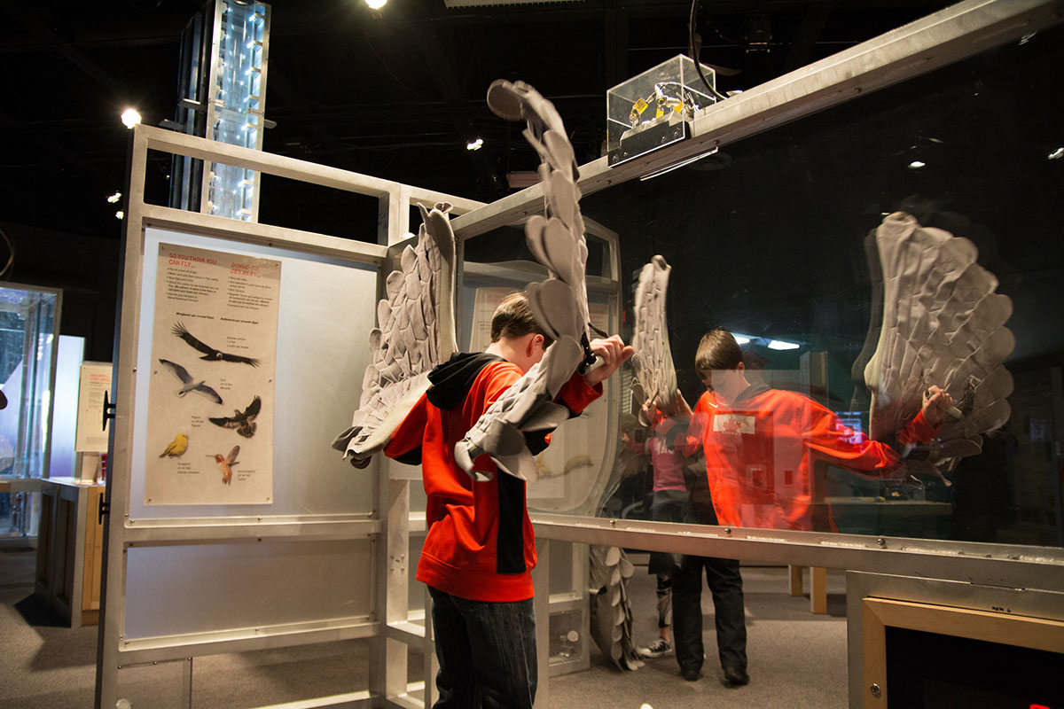 Bring your creative ideas to life with the Imaginate Exhibit at Science North
