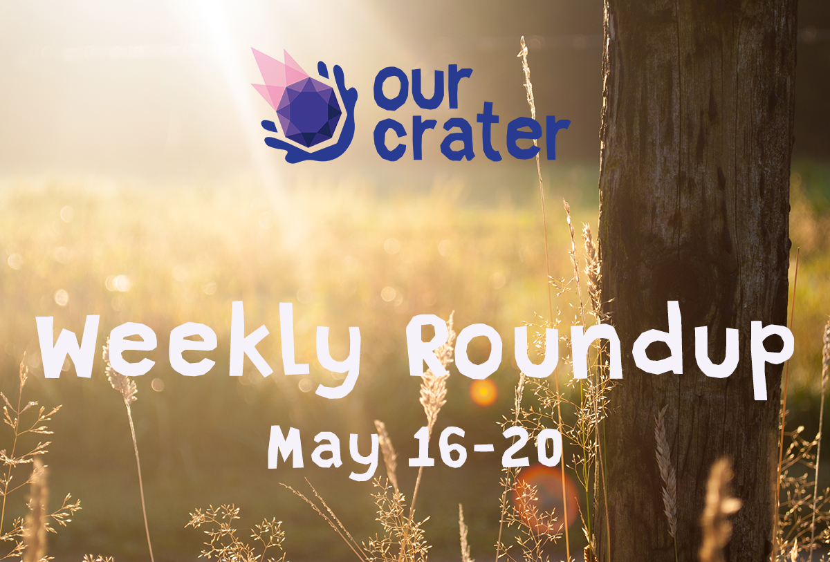 Weekly Roundup: May 16-20