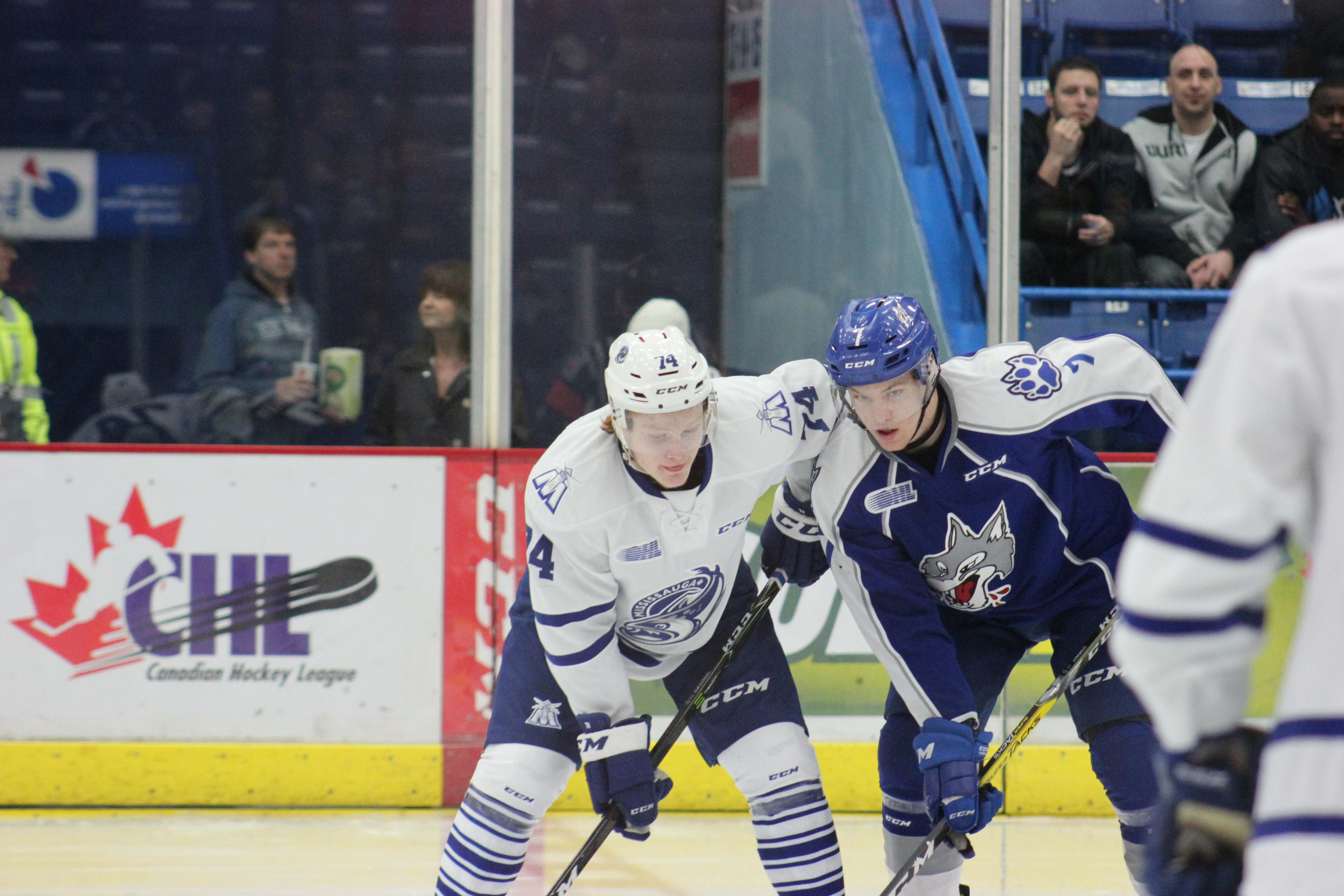 Sudbury Wolves Recap: Wolves turn in winning week!